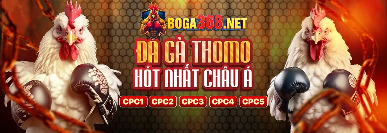 Hướng dẫn cá cược đá gà khin789 chính thức