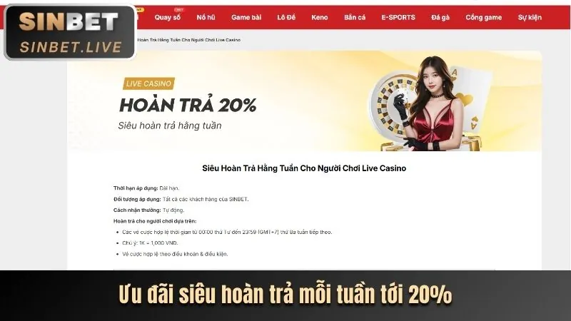 Giao diện cá cược thể thao trực tiếp với tỷ lệ cược và thống kê trận đấu của khin789
